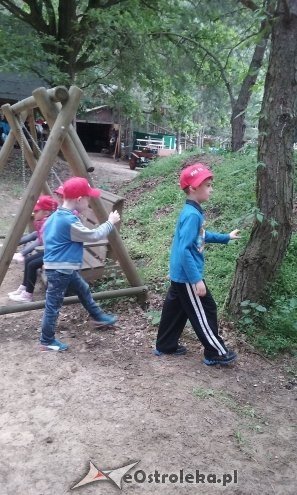 Ostrołęka: „Słoneczka” z miejskiej dziesiątki w stadninie Tabun [24.06.2015] - zdjęcie #115 - eOstroleka.pl