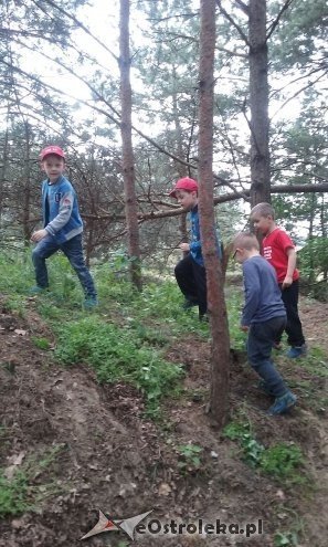 Ostrołęka: „Słoneczka” z miejskiej dziesiątki w stadninie Tabun [24.06.2015] - zdjęcie #114 - eOstroleka.pl