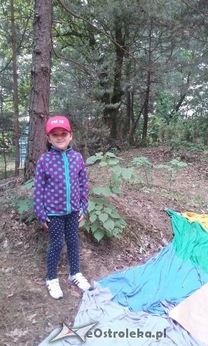 Ostrołęka: „Słoneczka” z miejskiej dziesiątki w stadninie Tabun [24.06.2015] - zdjęcie #107 - eOstroleka.pl