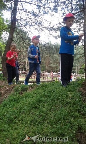 Ostrołęka: „Słoneczka” z miejskiej dziesiątki w stadninie Tabun [24.06.2015] - zdjęcie #106 - eOstroleka.pl