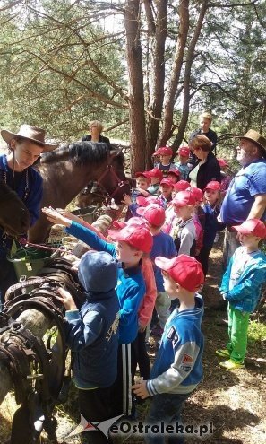 Ostrołęka: „Słoneczka” z miejskiej dziesiątki w stadninie Tabun [24.06.2015] - zdjęcie #100 - eOstroleka.pl