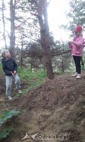 Ostrołęka: „Słoneczka” z miejskiej dziesiątki w stadninie Tabun [24.06.2015] - zdjęcie #98 - eOstroleka.pl