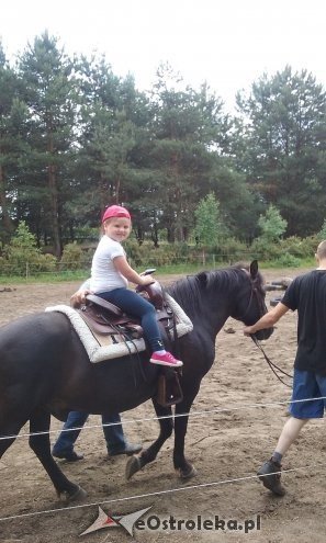 Ostrołęka: „Słoneczka” z miejskiej dziesiątki w stadninie Tabun [24.06.2015] - zdjęcie #94 - eOstroleka.pl