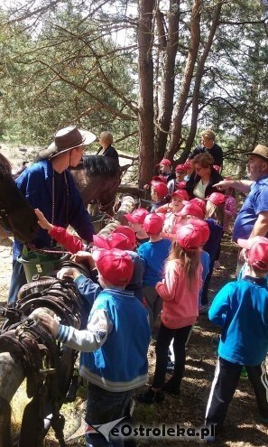 Ostrołęka: „Słoneczka” z miejskiej dziesiątki w stadninie Tabun [24.06.2015] - zdjęcie #91 - eOstroleka.pl