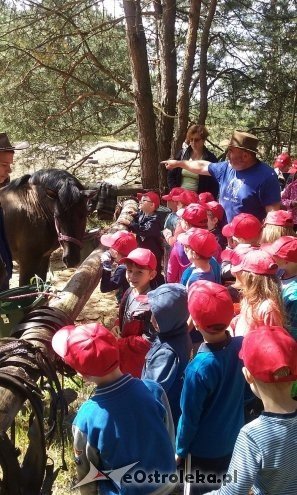 Ostrołęka: „Słoneczka” z miejskiej dziesiątki w stadninie Tabun [24.06.2015] - zdjęcie #86 - eOstroleka.pl