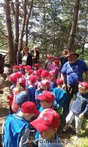 Ostrołęka: „Słoneczka” z miejskiej dziesiątki w stadninie Tabun [24.06.2015] - zdjęcie #85 - eOstroleka.pl