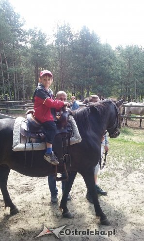 Ostrołęka: „Słoneczka” z miejskiej dziesiątki w stadninie Tabun [24.06.2015] - zdjęcie #83 - eOstroleka.pl