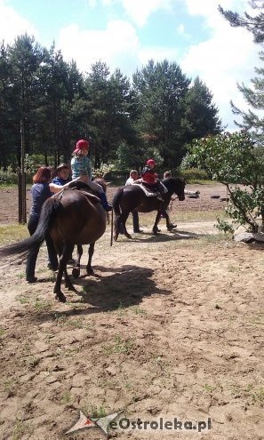Ostrołęka: „Słoneczka” z miejskiej dziesiątki w stadninie Tabun [24.06.2015] - zdjęcie #80 - eOstroleka.pl