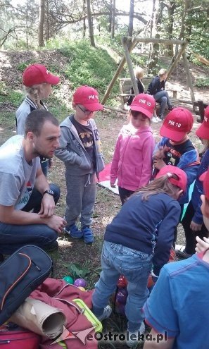 Ostrołęka: „Słoneczka” z miejskiej dziesiątki w stadninie Tabun [24.06.2015] - zdjęcie #78 - eOstroleka.pl