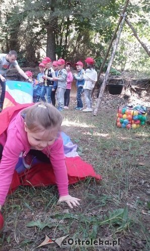 Ostrołęka: „Słoneczka” z miejskiej dziesiątki w stadninie Tabun [24.06.2015] - zdjęcie #73 - eOstroleka.pl