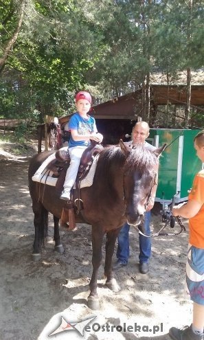 Ostrołęka: „Słoneczka” z miejskiej dziesiątki w stadninie Tabun [24.06.2015] - zdjęcie #64 - eOstroleka.pl