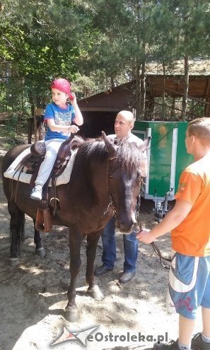 Ostrołęka: „Słoneczka” z miejskiej dziesiątki w stadninie Tabun [24.06.2015] - zdjęcie #63 - eOstroleka.pl