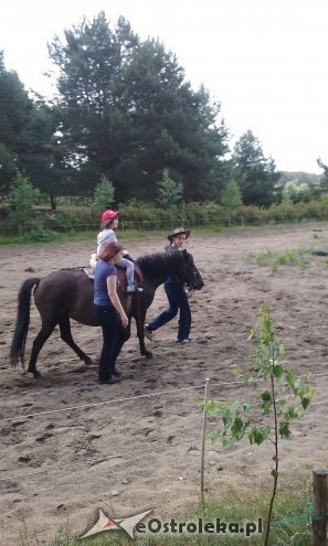 Ostrołęka: „Słoneczka” z miejskiej dziesiątki w stadninie Tabun [24.06.2015] - zdjęcie #54 - eOstroleka.pl