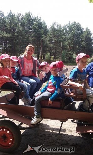 Ostrołęka: „Słoneczka” z miejskiej dziesiątki w stadninie Tabun [24.06.2015] - zdjęcie #52 - eOstroleka.pl