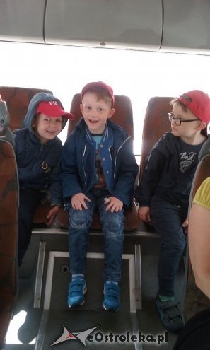 Ostrołęka: „Słoneczka” z miejskiej dziesiątki w stadninie Tabun [24.06.2015] - zdjęcie #49 - eOstroleka.pl