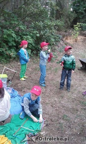 Ostrołęka: „Słoneczka” z miejskiej dziesiątki w stadninie Tabun [24.06.2015] - zdjęcie #43 - eOstroleka.pl