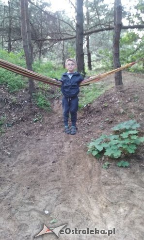 Ostrołęka: „Słoneczka” z miejskiej dziesiątki w stadninie Tabun [24.06.2015] - zdjęcie #40 - eOstroleka.pl