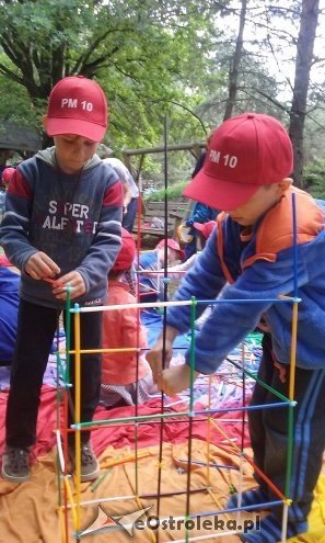 Ostrołęka: „Słoneczka” z miejskiej dziesiątki w stadninie Tabun [24.06.2015] - zdjęcie #33 - eOstroleka.pl