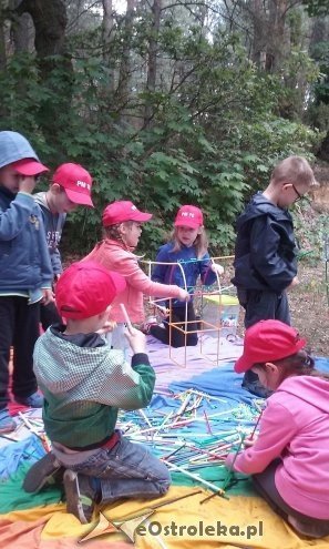 Ostrołęka: „Słoneczka” z miejskiej dziesiątki w stadninie Tabun [24.06.2015] - zdjęcie #25 - eOstroleka.pl