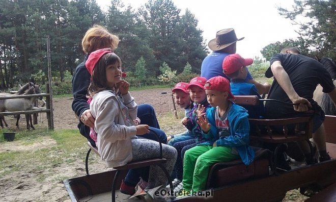 Ostrołęka: „Słoneczka” z miejskiej dziesiątki w stadninie Tabun [24.06.2015] - zdjęcie #19 - eOstroleka.pl