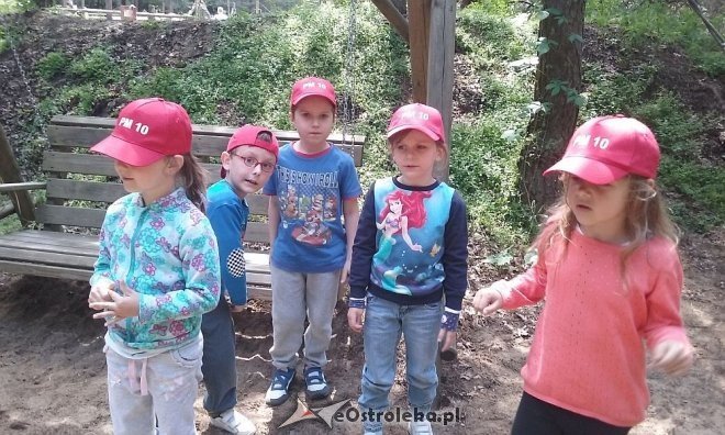 Ostrołęka: „Słoneczka” z miejskiej dziesiątki w stadninie Tabun [24.06.2015] - zdjęcie #18 - eOstroleka.pl