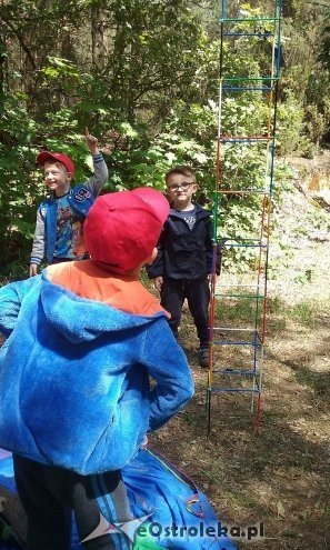 Ostrołęka: „Słoneczka” z miejskiej dziesiątki w stadninie Tabun [24.06.2015] - zdjęcie #15 - eOstroleka.pl