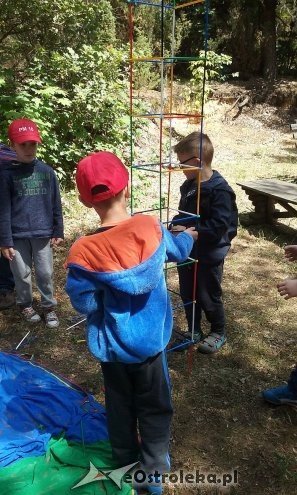 Ostrołęka: „Słoneczka” z miejskiej dziesiątki w stadninie Tabun [24.06.2015] - zdjęcie #12 - eOstroleka.pl