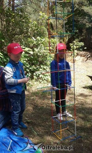 Ostrołęka: „Słoneczka” z miejskiej dziesiątki w stadninie Tabun [24.06.2015] - zdjęcie #6 - eOstroleka.pl