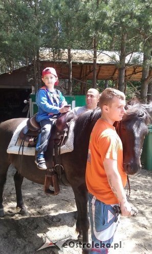 Ostrołęka: „Słoneczka” z miejskiej dziesiątki w stadninie Tabun [24.06.2015] - zdjęcie #4 - eOstroleka.pl