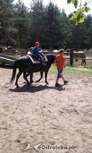 Ostrołęka: „Słoneczka” z miejskiej dziesiątki w stadninie Tabun [24.06.2015] - zdjęcie #3 - eOstroleka.pl