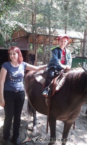 Ostrołęka: „Słoneczka” z miejskiej dziesiątki w stadninie Tabun [24.06.2015] - zdjęcie #2 - eOstroleka.pl