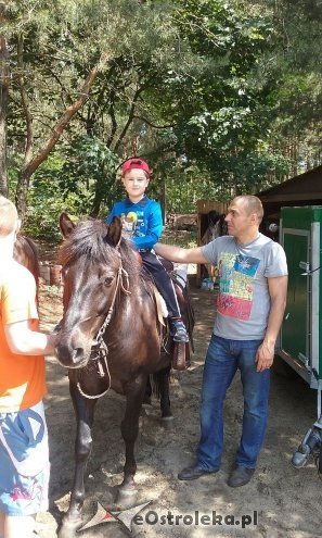 Ostrołęka: „Słoneczka” z miejskiej dziesiątki w stadninie Tabun [24.06.2015] - zdjęcie #1 - eOstroleka.pl