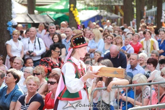 Wesele Kurpiowskie 2015: Uroczysty powrót od ślubu [28.06.2015] - zdjęcie #2 - eOstroleka.pl