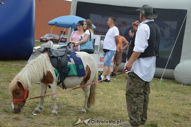 Festyn Rodzinna aktywacja w Ostrołęce [28.06.2015] - zdjęcie #31 - eOstroleka.pl