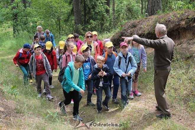 Ostrołęka: „Klub Czterech Żywiołów” podsumowany [30.06.2015] - zdjęcie #23 - eOstroleka.pl