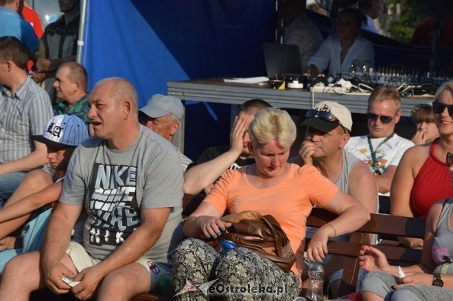 XI Piknik Rodzinny w Goworowie - pod patronatem wójta gminy Goworowo [05.07.2015] - zdjęcie #17 - eOstroleka.pl