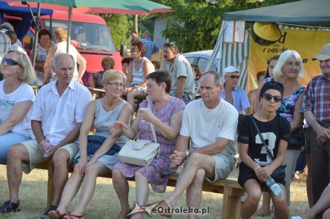 XI Piknik Rodzinny w Goworowie - pod patronatem wójta gminy Goworowo [05.07.2015] - zdjęcie #23 - eOstroleka.pl