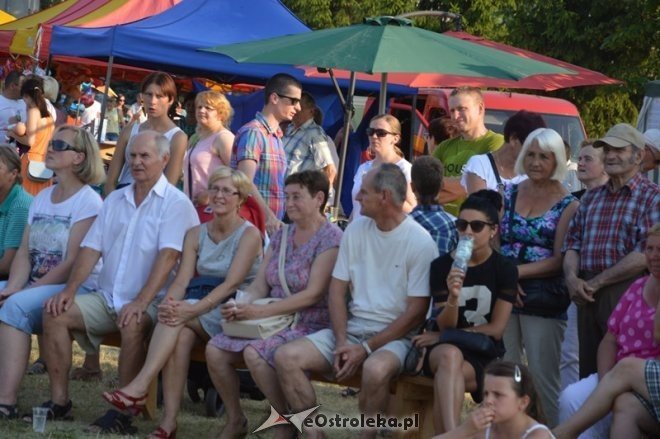 XI Piknik Rodzinny w Goworowie - pod patronatem wójta gminy Goworowo [05.07.2015] - zdjęcie #52 - eOstroleka.pl