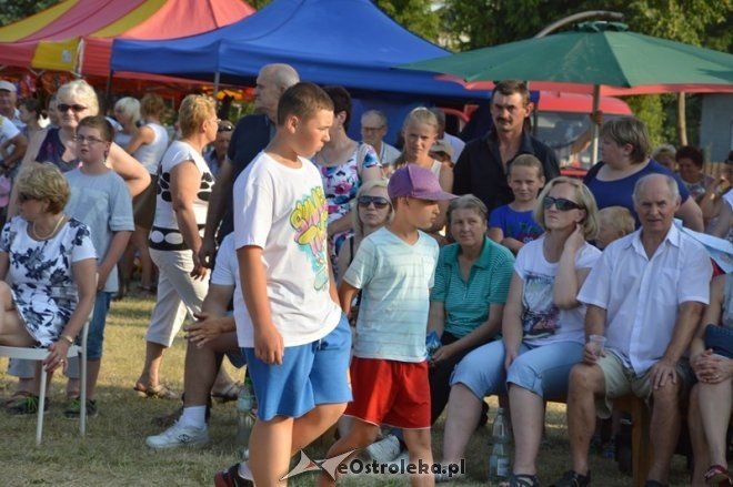XI Piknik Rodzinny w Goworowie - pod patronatem wójta gminy Goworowo [05.07.2015] - zdjęcie #72 - eOstroleka.pl