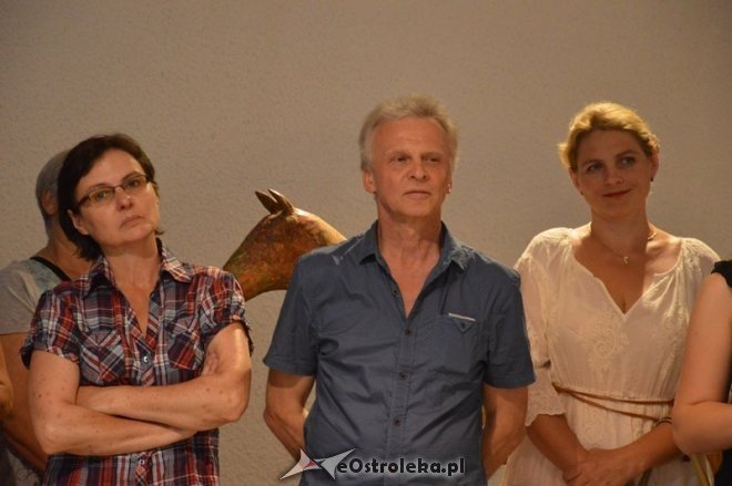 Wystawa rzeźby Grzegorza Witka [07.07.2015] - zdjęcie #14 - eOstroleka.pl