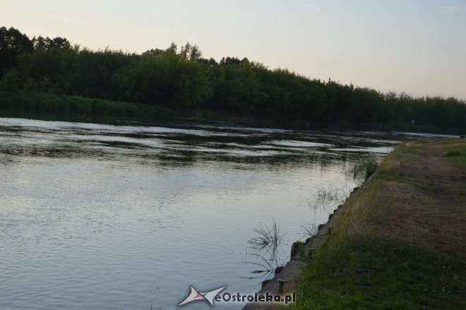Niski stan wody w rzece Narew [10.07.2015] - zdjęcie #3 - eOstroleka.pl
