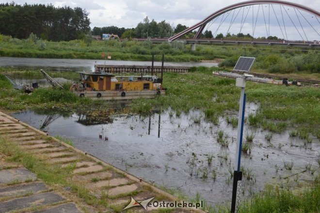 Niski stan wody w rzece Narew [10.07.2015] - zdjęcie #1 - eOstroleka.pl