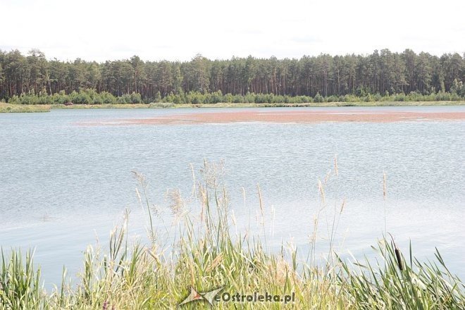 Kurpiowska Kraina w Wykrocie [17.07.2015] - zdjęcie #12 - eOstroleka.pl