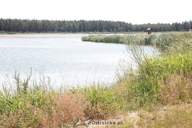 Kurpiowska Kraina w Wykrocie [17.07.2015] - zdjęcie #13 - eOstroleka.pl