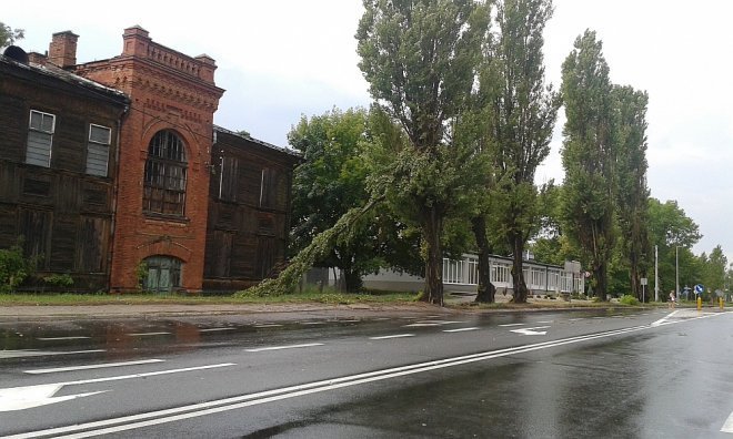 Powalone drzewa w Wojciechowicach [18.07.2015] - zdjęcie #1 - eOstroleka.pl