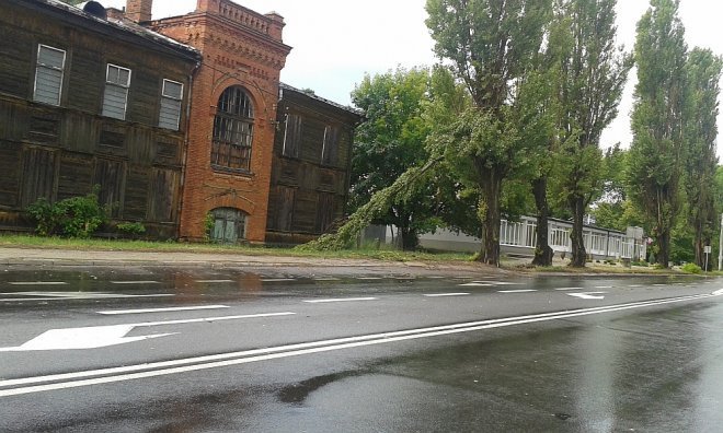 Powalone drzewa w Wojciechowicach [18.07.2015] - zdjęcie #2 - eOstroleka.pl