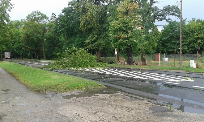 Powalone drzewa w Wojciechowicach [18.07.2015] - zdjęcie #5 - eOstroleka.pl