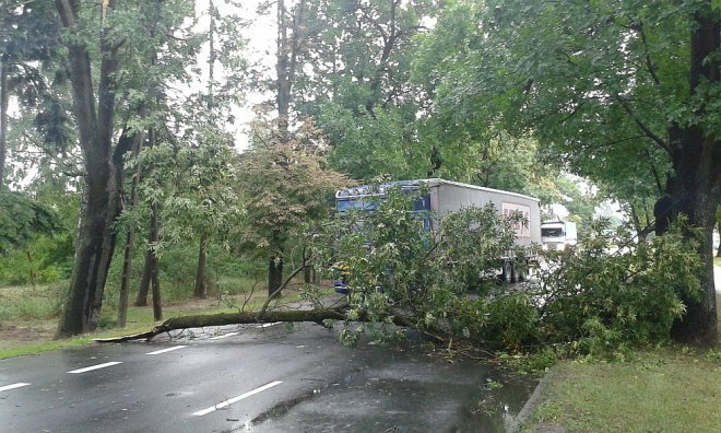Powalone drzewa w Wojciechowicach [18.07.2015] - zdjęcie #16 - eOstroleka.pl