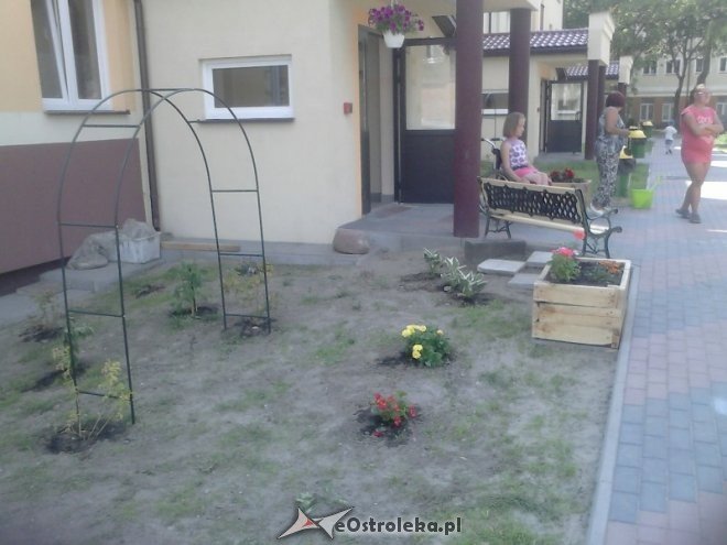 Zobacz, jak mieszkańcy bloku  przy Braterstwa Broni dbają o swoje podwórko [10.08.2015] - zdjęcie #1 - eOstroleka.pl