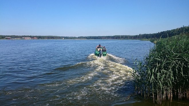 Przyducha na zalewie w Wykrocie. W zbiorniku pływają śnięte ryby [10.08.2015] - zdjęcie #2 - eOstroleka.pl